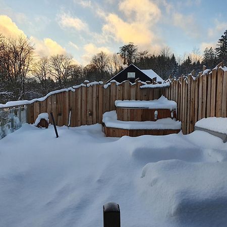 Wlodgeone Braunlage Exterior foto