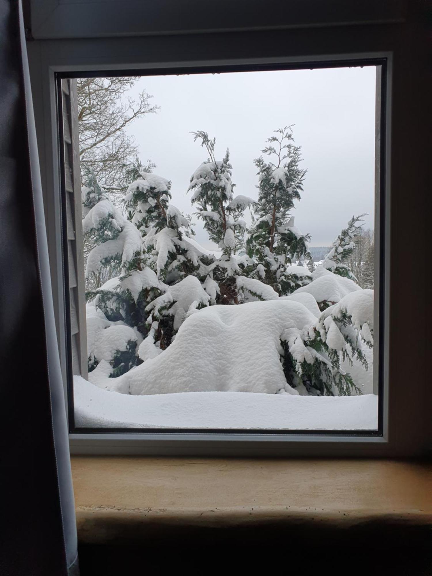 Wlodgeone Braunlage Exterior foto